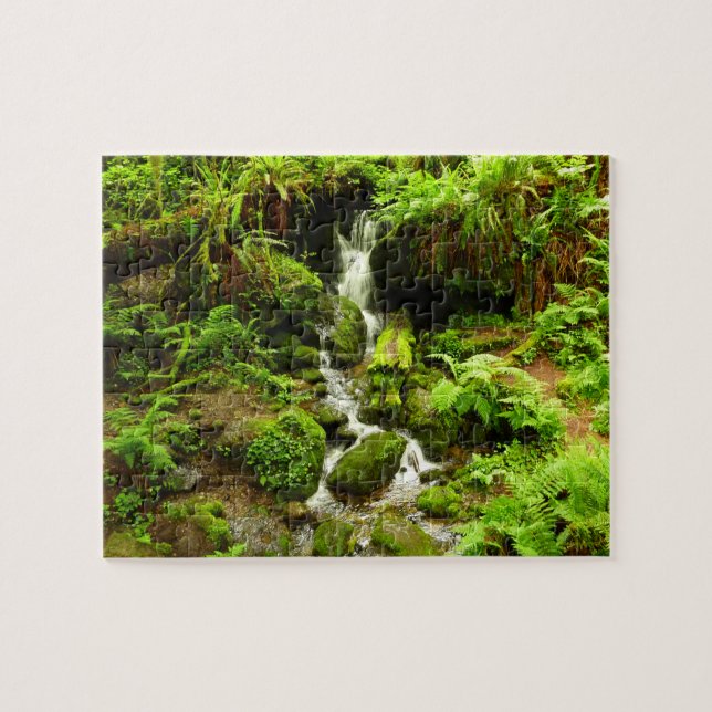 Puzzle Trillium Falls à Redwood National Park (Horizontal)