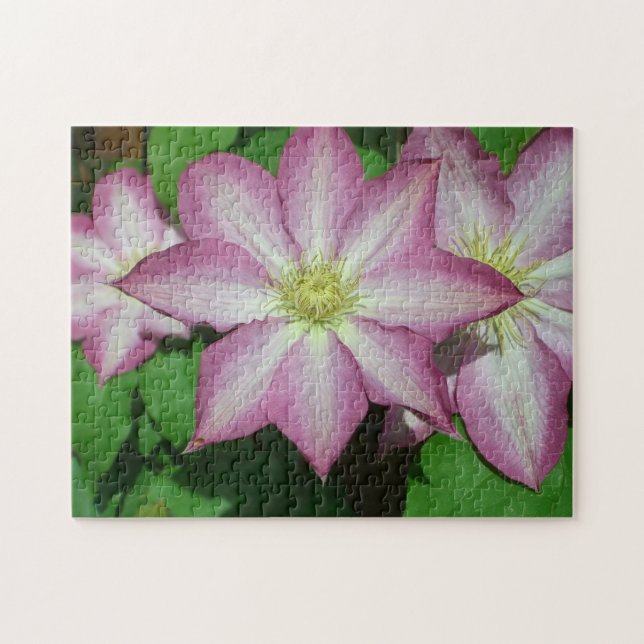 Puzzle Trio de Clematis Pink and White Spring Vine (Horizontal)