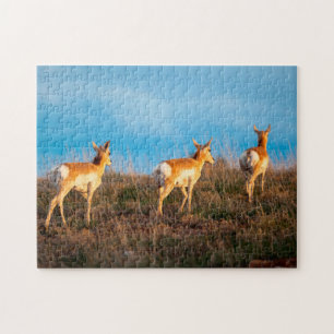 Puzzle Trois antilopes s'éloignant au coucher du soleil