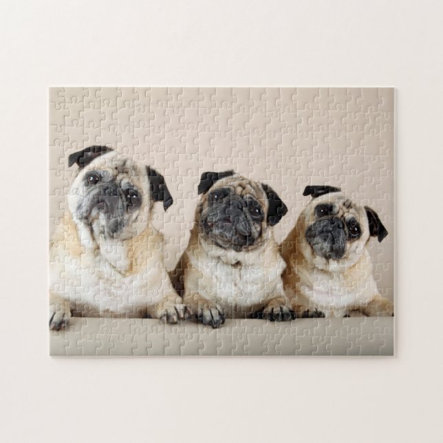 Puzzle Trois Carlins De Ligne (Horizontal)