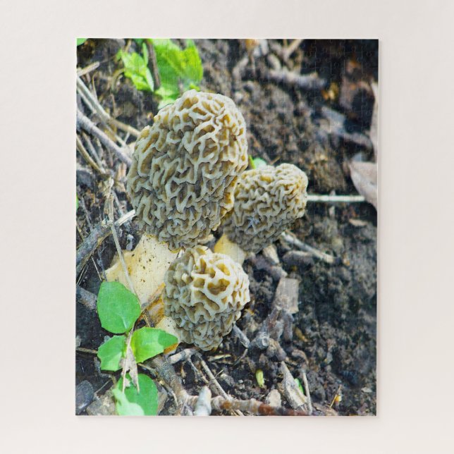 Puzzle Trois champignons gris Morel assis dans les bois (Vertical)