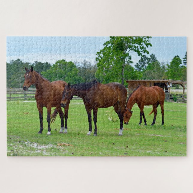 Puzzle Trois chevaux majestueux (Horizontal)