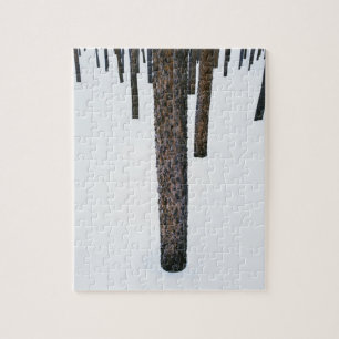 Puzzle Troncs d'arbre dans la neige