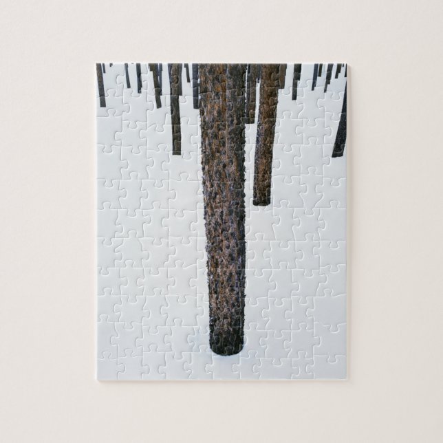 Puzzle Troncs d'arbre dans la neige (Vertical)