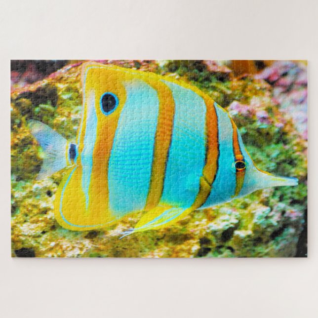 Puzzle Tropical Fish (Horizontal)