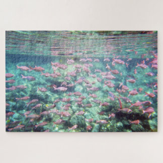 Puzzle Tropical Fish
