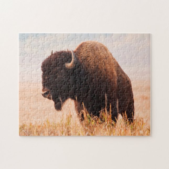 Puzzle Troupeau de bisons d'Amérique (Bison Bison) dans T (Horizontal)