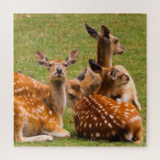 Puzzle Troupeau de cerfs dans l'herbe (Vertical)