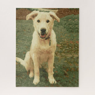 Puzzle Tucker