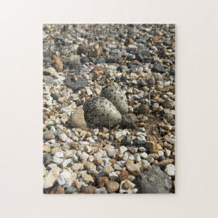Puzzle Tuer Des Oeufs Dans Le Gravel