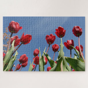Puzzle Tulipe Triomphe (Tulipa) "Reinier Paping"