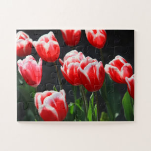 Puzzle Tulipes 30 pc