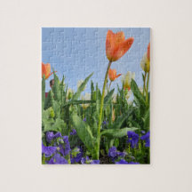 Tulipes et panneaux