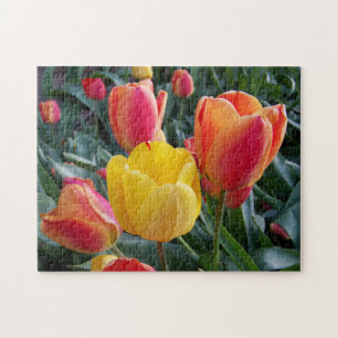 Puzzle Tulipes jaunes et rouges dans un jardin de rocaill