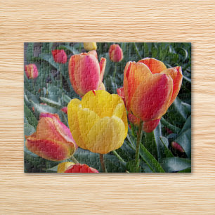 Puzzle Tulipes jaunes et rouges dans un jardin de rocaill