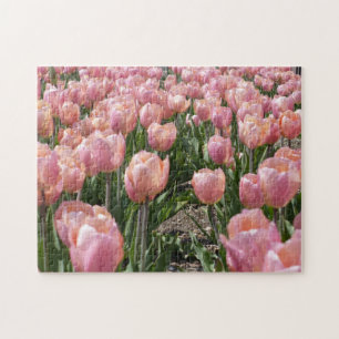 Puzzle Tulipes roses embrassées par le soleil