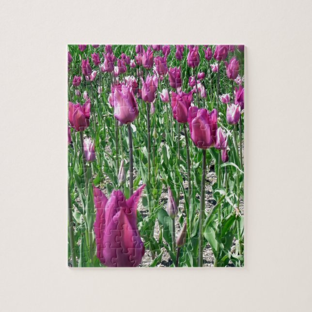 Puzzle Tulipes violettes du Regal (Vertical)
