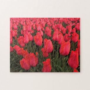 Puzzle Tulips Coral Pink
