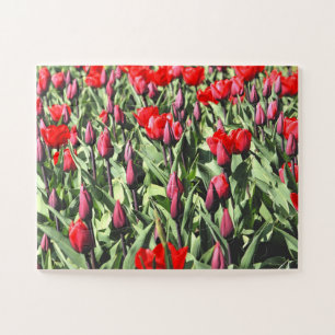 Puzzle Tulips rouges 30-pc