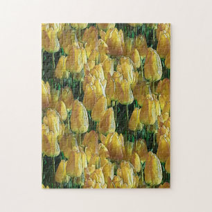 Puzzle Tulips Sunshine Yellow