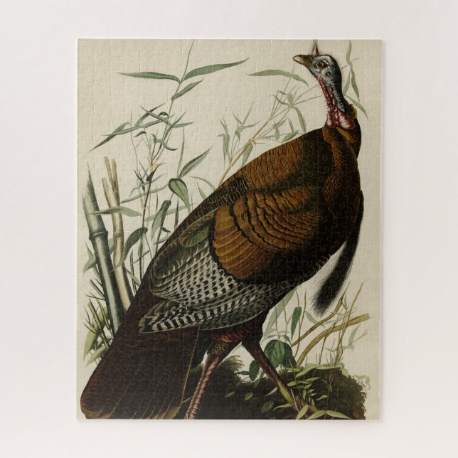 Puzzle Turquie sauvage (mâle) des oiseaux d'Amérique d'Au (Vertical)