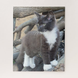 Puzzle Tuxedo Kitten