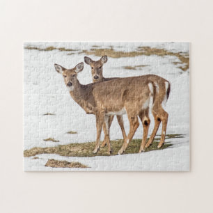 Puzzle Two White-tailed Deer On Alert