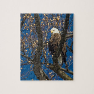 Puzzle Un aigle à tête blanche