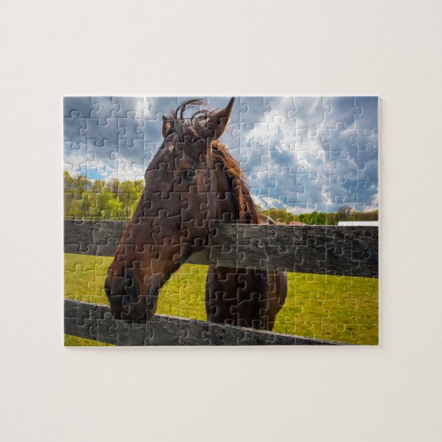 Puzzle Un casse-tête Cheval (Horizontal)