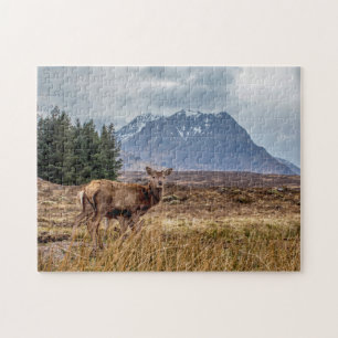Puzzle Un cerf rouge sauvage à Glencoe en Écosse