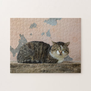Puzzle Un chat devant un vieux mur