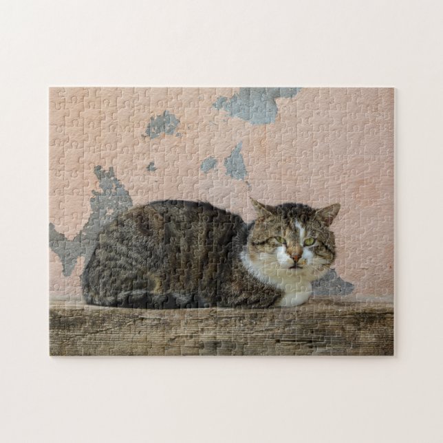 Puzzle Un chat devant un vieux mur (Horizontal)