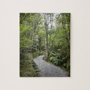 Puzzle Un chemin à travers une forêt tropicale à la ba