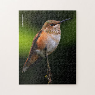 Puzzle Un colibri roux doux Poses sur l'arbre fruitier
