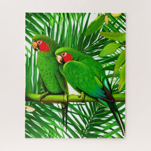 Puzzle Un couple de perroquets verts dans un cadre de jun