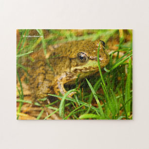 Puzzle Un dialogue rapide avec une petite grenouille vert