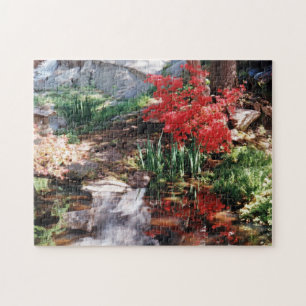 Puzzle Un endroit curatif