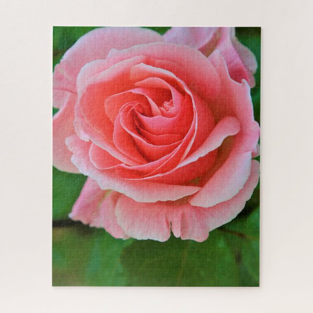 Puzzle Un Grand Rose Simple Rose Rose Rose Élevé (Vertical)