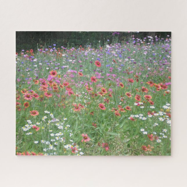 Puzzle "Un jardin de fleurs sauvages" (Horizontal)