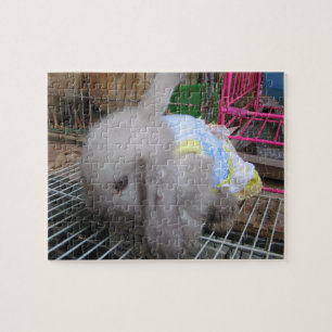 Puzzle Un lapin en robe