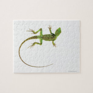 Puzzle Un lézard sur la terre blanche pure