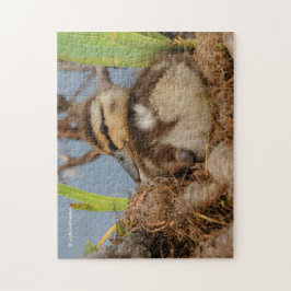 Puzzle Un mignon canard à colle et précieux
