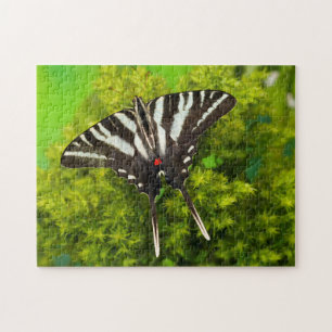 Puzzle Un papillon swallowtail nord-américain