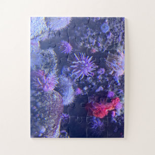 Puzzle Underwater