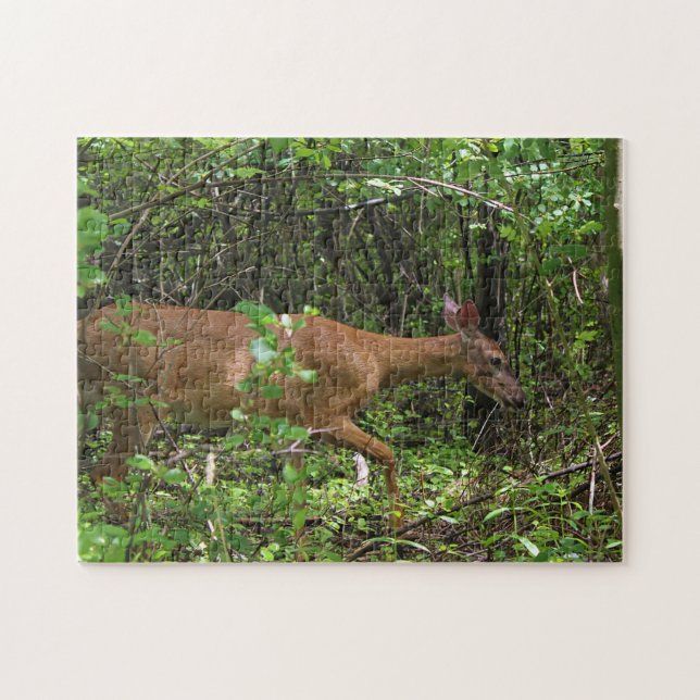 Puzzle Une balade par les bois (Horizontal)