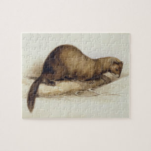Puzzle Une belette, 1832 (la semaine, ove de stylo,
