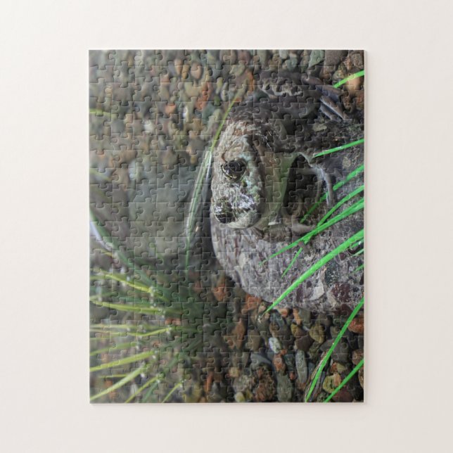 Puzzle Une grenouille heureuse (Vertical)