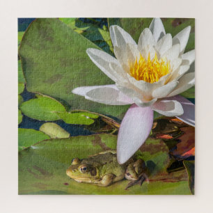 Puzzle Une grenouille sous une fleur de nénuphar