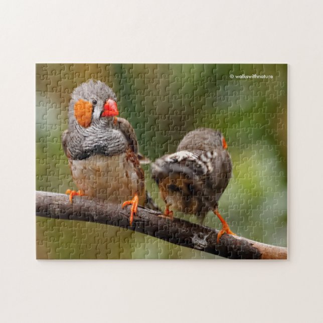 Puzzle Une paire de poches de Zebra Finches (Horizontal)