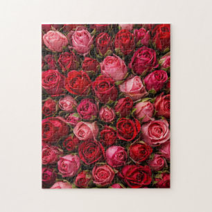 Puzzle Une rose sous un autre nom
